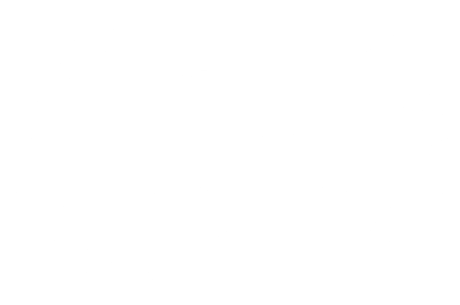 COMPETITION-SPARKANIMATION-2025 (BLANC)